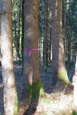 Biologisk Nedbrydeligt Markeringsbånd -Stihl Butik 37 150 01 7 j20 1280x1280