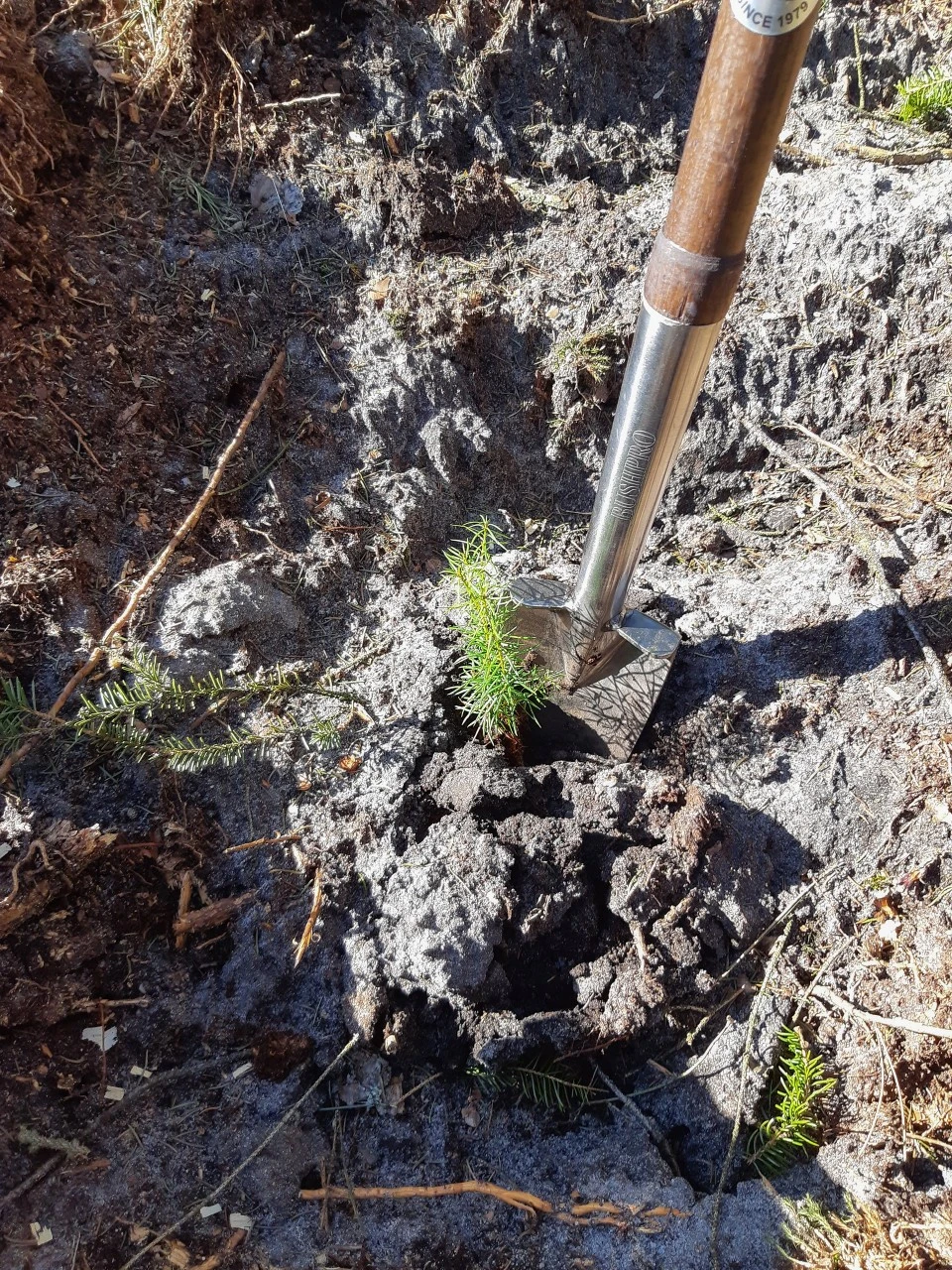 Bushpro Plantespade Hiballer 5 Bushpro Plantespade Hiballer - Billede 3