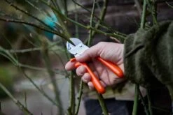 Loewe Löwe Nr. 5 Amboltsaks -Stihl Butik 64 120 6 j23 1280x1280