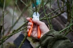 Loewe Löwe Nr. 5 Amboltsaks -Stihl Butik 64 120 7 j23 1280x1280