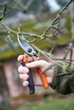 Loewe Löwe Nr. 11 Bypass-saks Med Rullegreb -Stihl Butik 64 127 3 j23 1280x1280