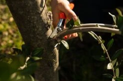 Loewe Löwe-skær Nr. 10 -Stihl Butik 64 156 6 1280x1280