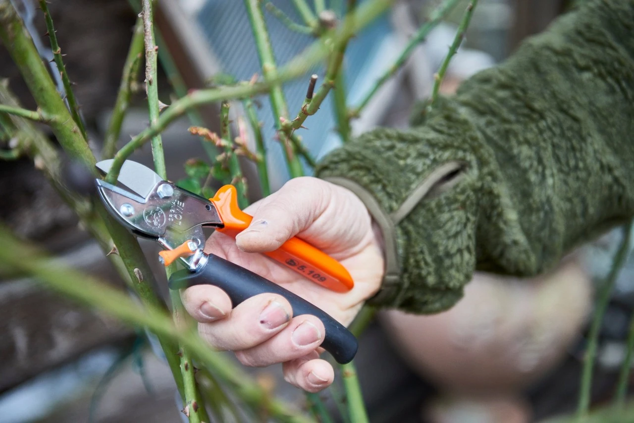 Loewe Löwe Nr. 5 Amboltsaks Med Rullegreb 5 Loewe Löwe Nr. 5 Amboltsaks Med Rullegreb - Billede 3
