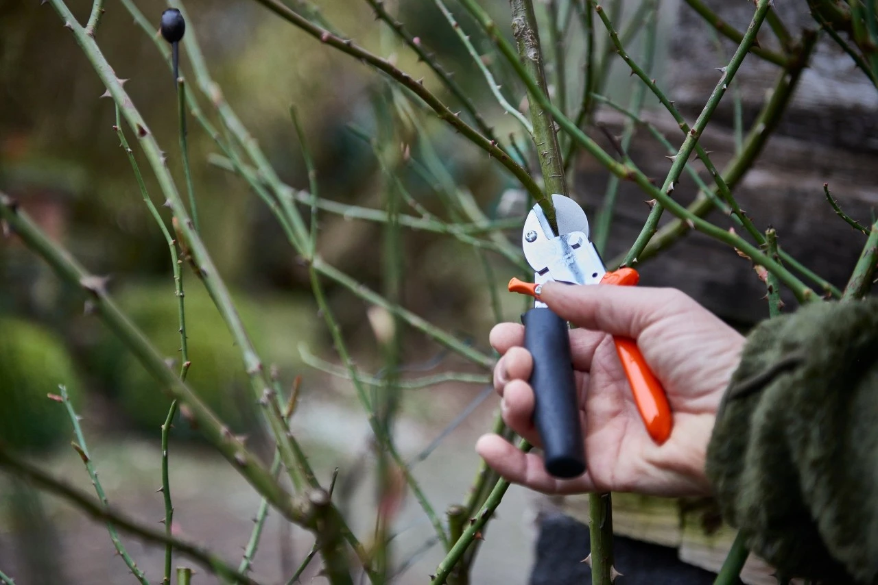Loewe Löwe Nr. 5 Amboltsaks Med Rullegreb 6 Loewe Löwe Nr. 5 Amboltsaks Med Rullegreb - Billede 4