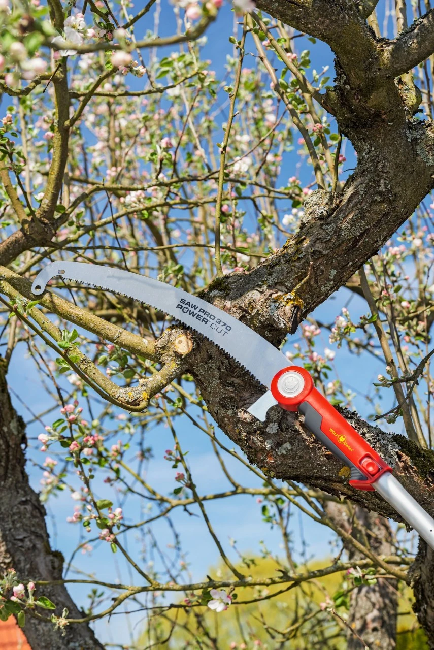 Wolf-Garten Professionel Wolf-havegrensav Power Cut Pro 370 5 Wolf-Garten Professionel Wolf-havegrensav Power Cut Pro 370 - Billede 3