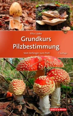 Grundlæggende Kursus I Svampeidentifikation - En Praktisk Guide Til Begyndere Og Erfarne