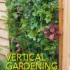 Vertical Gardening -Stihl Butik 69 169 1 j22 1280x1280