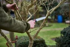 Silky Håndsav "Gomtaro 210-8" 12 Silky Håndsav "Gomtaro 210-8" -Stihl Butik 70 181 210 5 j23 1280x1280