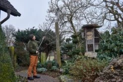 ARS Teleskop-beskæringssaks TB-6 -Stihl Butik 70 280 3 j23 1280x1280