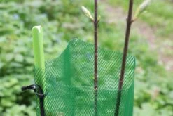 Fiberglas Plante & Markeringsstok 10 Fiberglas Plante & Markeringsstok -Stihl Butik 73 116 3 1280x1280