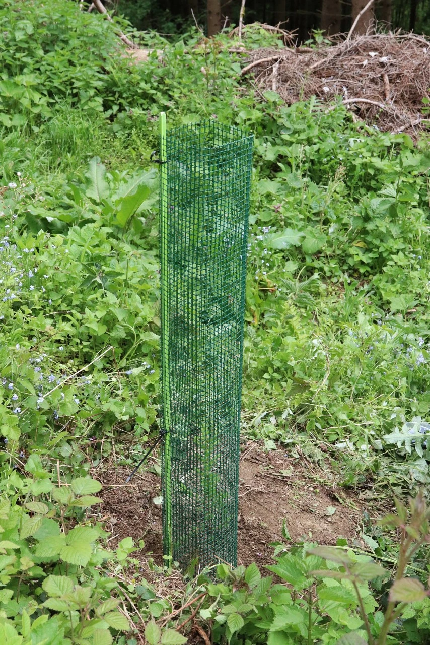 Fiberglas Plante & Markeringsstok 7 Fiberglas Plante & Markeringsstok - Billede 5