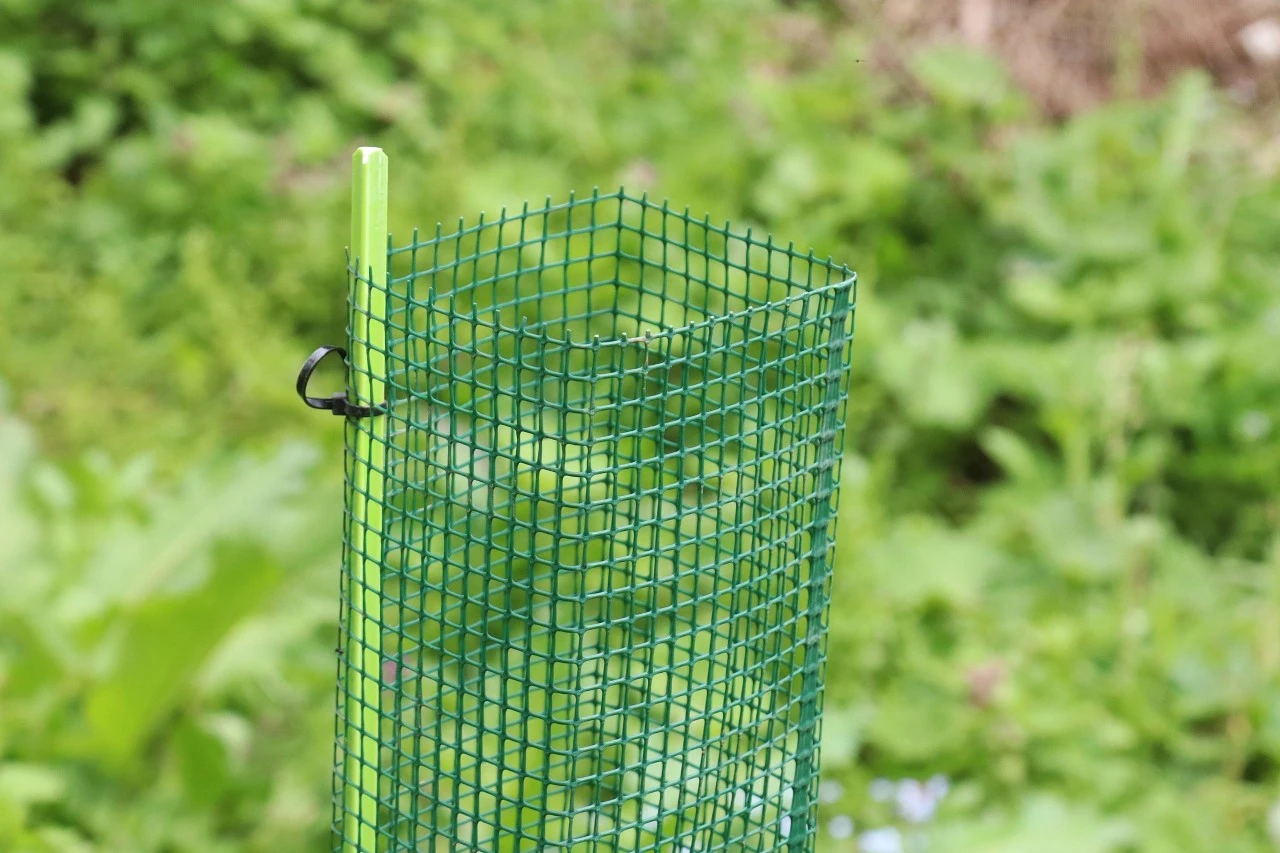 Fiberglas Plante & Markeringsstok 8 Fiberglas Plante & Markeringsstok - Billede 6