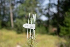 PlantaGard Manchet Mod Vildtbid Cactus Bio