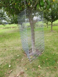 Plantagard, Trådelement Til Individuel Træbeskyttelse 150 X 100 Cm -Stihl Butik 73 342 150 4 j22 1280x1280