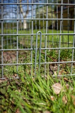 Plantagard U-krog Til Trådelement Til Individuel Træbeskyttelse