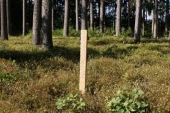 Økologisk Vækstrør Biowit NT BTR