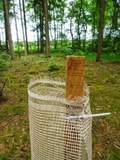 Økologisk Vækstrør Treeshirt økologisk -Stihl Butik 73 348 4 j22 1280x1280