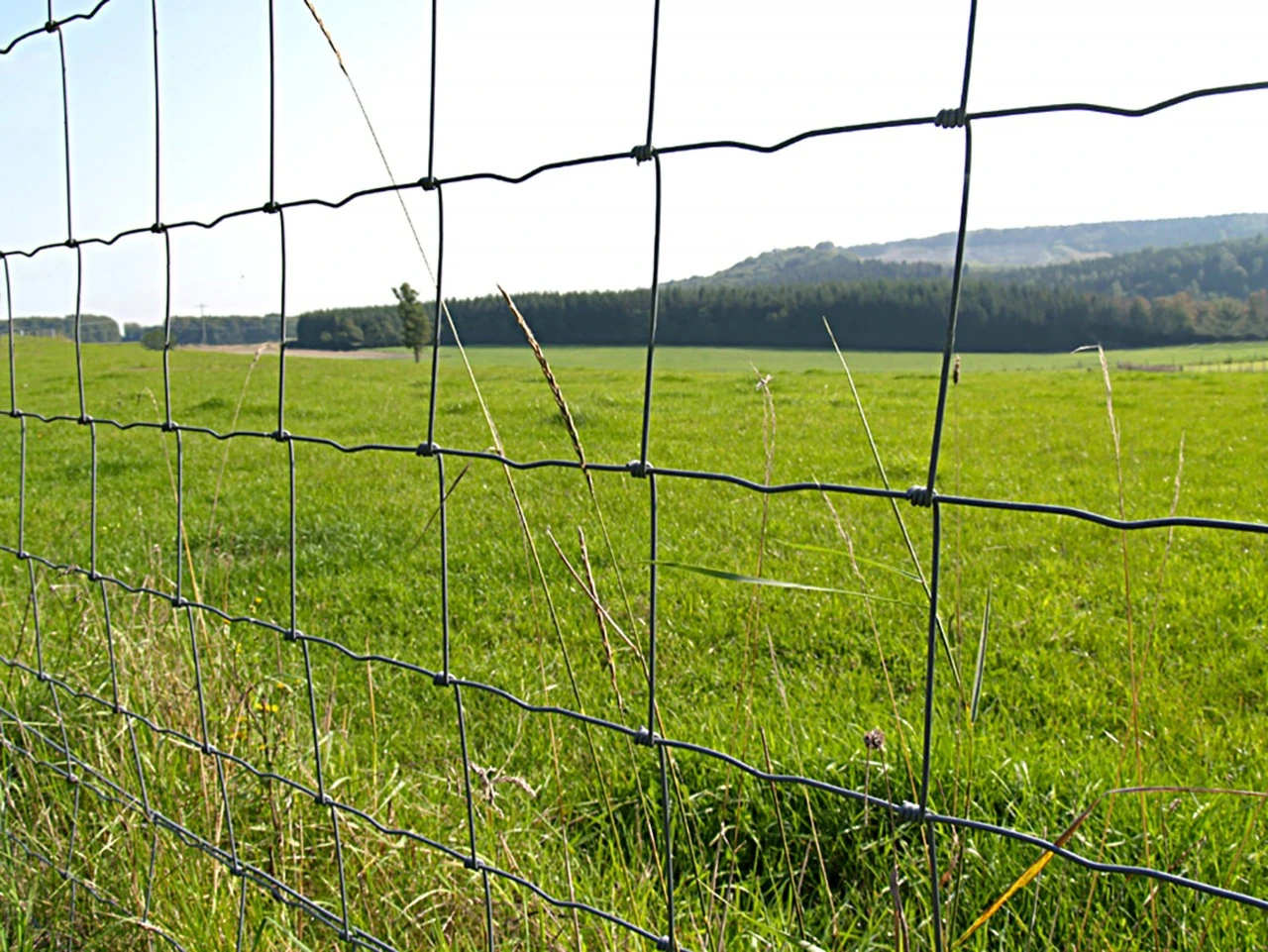 Kraftigt Knudeflet Prairie-Lourd 100-7-15 4 Kraftigt Knudeflet Prairie-Lourd 100-7-15 - Billede 2
