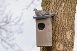 Vivara Allikkekasse -Stihl Butik 75 373 3 j22 1280x1280