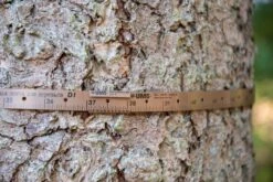 Målebånd Permanent D 1 -Stihl Butik 80 051 2 j20 1280x1280