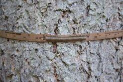 Målebånd Permanent D 1 -Stihl Butik 80 051 4 j20 1280x1280