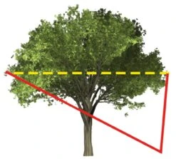 Haglöf Laser Geo -Stihl Butik 80 195 Kronenbreite j20 1280x1280 1