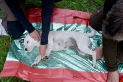 Hunderedningstæppe -Stihl Butik 82 439 2 j19 1280x1280