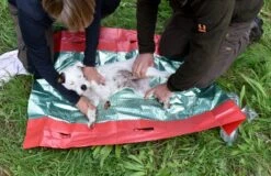 Hunderedningstæppe -Stihl Butik 82 439 3 j19 1280x1280