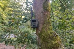 Seissiger Vildtkamera Special-Cam Supersim-Edition LTE -Stihl Butik 85 228 01 1 j19 1280x1280