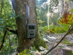 Seissiger Vildtkamera Special-Cam Supersim-Edition LTE -Stihl Butik 85 228 01 2 j19 1280x1280