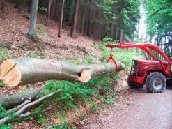 Mekanisk Tømmersaks 1000 Kg Med 3 Gribearme -Stihl Butik B 40 298 anw 3 j15 1280x1280