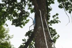 Dynaforce Trækreb Til Træ 21 Mm -Stihl Butik B 42 024 40 209 70 575 1 j16 1280x1280 1