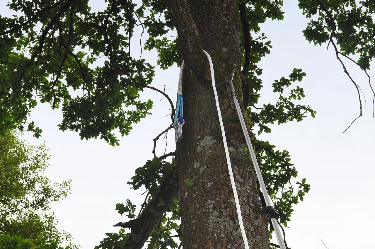 DynaForce® Træ-træktov 8 DynaForce® Træ-træktov - Billede 6