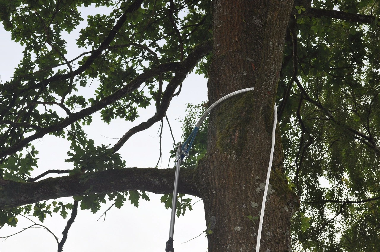 DynaForce® Træ-træktov 7 DynaForce® Træ-træktov - Billede 5