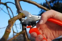 Loewe Löwe Nr. 5 Amboltsaks -Stihl Butik B 64 120 3 j16 1280x1280