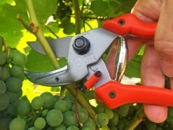 Loewe Löwe Nr. 8 Amboltsaks -Stihl Butik B 64 139 5 j16 1280x1280