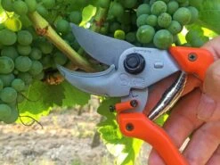 Loewe Löwe Nr. 9 Bypass-saks Standardversion -Stihl Butik B 64 235 3 j16 1280x1280