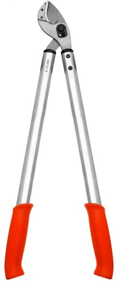 Loewe Löwe Amboltsaks Nr. 22