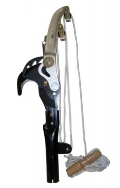 Silky Topsaks Sintung