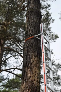 Understøtning Til Påskruning Til Alle Distel-stiger -Stihl Butik B 71 178 01 3 j17 1280x1280