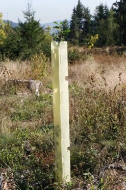 WitaPlant MV Træbeskyttelsesrør