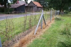 Hanit Stålrørsarmeret Plastik-recycling-pæl Med Spids