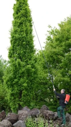 Birchmeier Teleskop-lanse XL 8S Med Sprøjtesæt -Stihl Butik B 74 515 4 j13 1280x1280