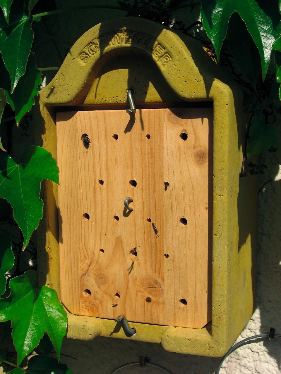 Insektredehus Til Iagttagelse 3 Insektredehus Til Iagttagelse