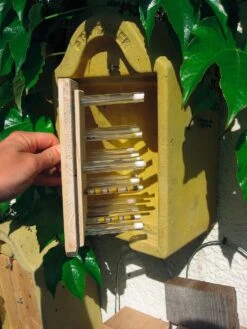 Insektredehus Til Iagttagelse 5 Insektredehus Til Iagttagelse -Stihl Butik B 75 276 2 j13 1280x1280