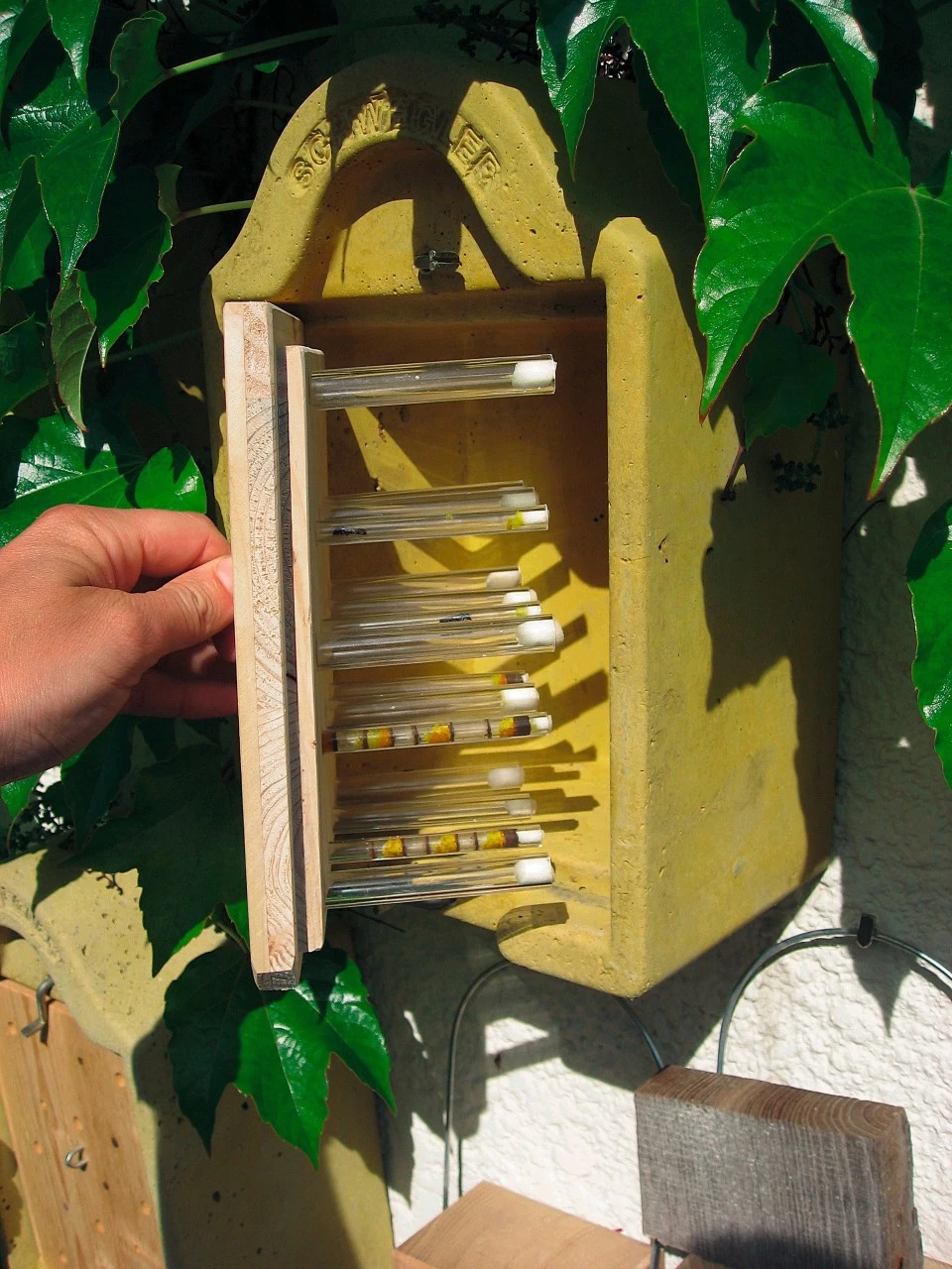 Insektredehus Til Iagttagelse 4 Insektredehus Til Iagttagelse - Billede 2