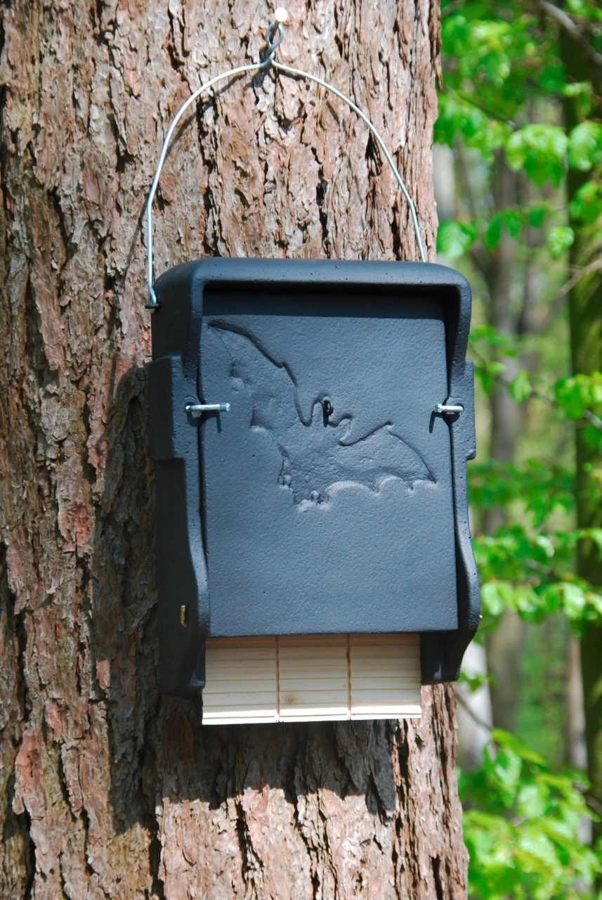 Flagermusse-kasse 1 FF 3 Flagermusse-kasse 1 FF