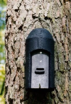 Schwegler Flagermushule 1FD -Stihl Butik B 75 347 2 j18 1280x1280