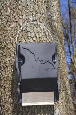 Schwegler 3FF Med Flad Flagermuskasse Inspektionshul