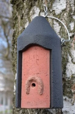 Schwegler Gedehams Starterhule